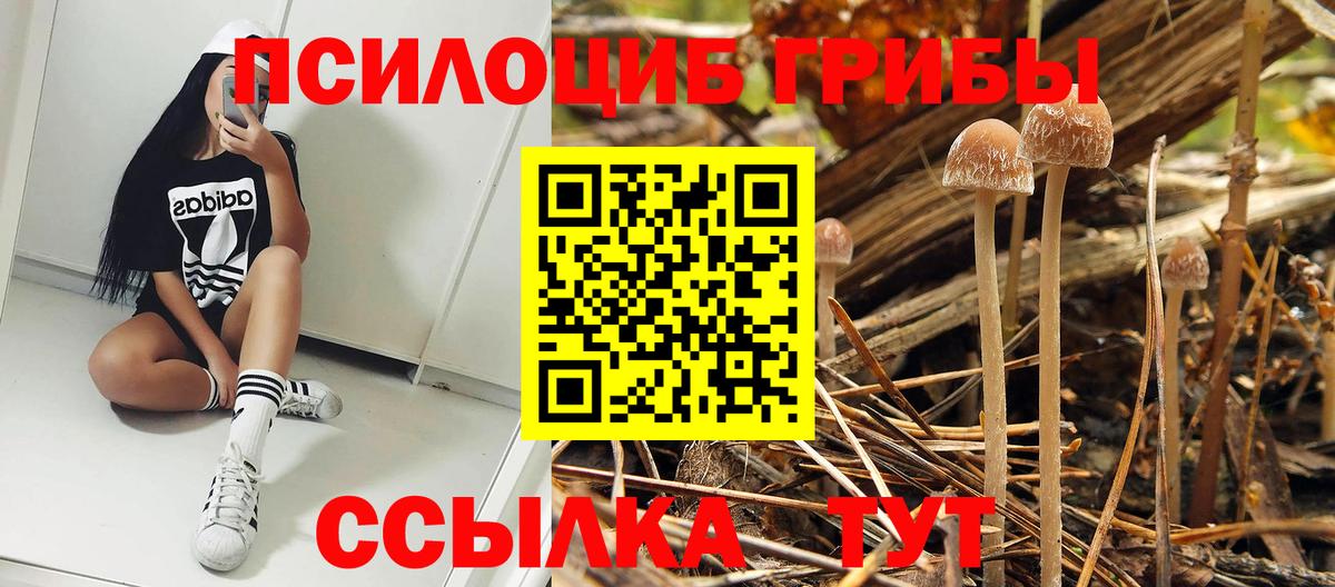 Галлюциногенные грибы GOLDEN TEACHER Ликино-Дулёво
